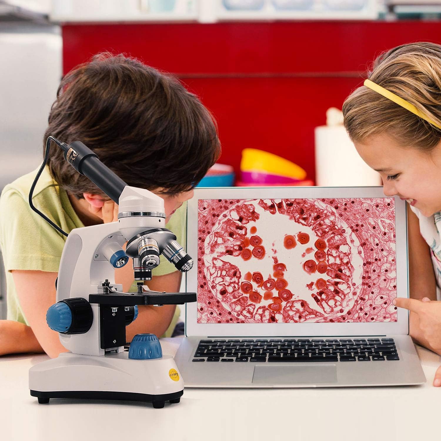 Compound Student Microscope, 40X-1000X, Monocular Head O249
