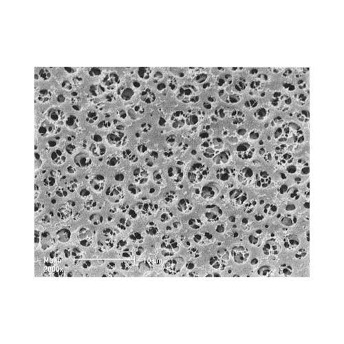 13 mm Cellulose Acetate Membrane Filter, 0.8 um, 100 Pcs G878