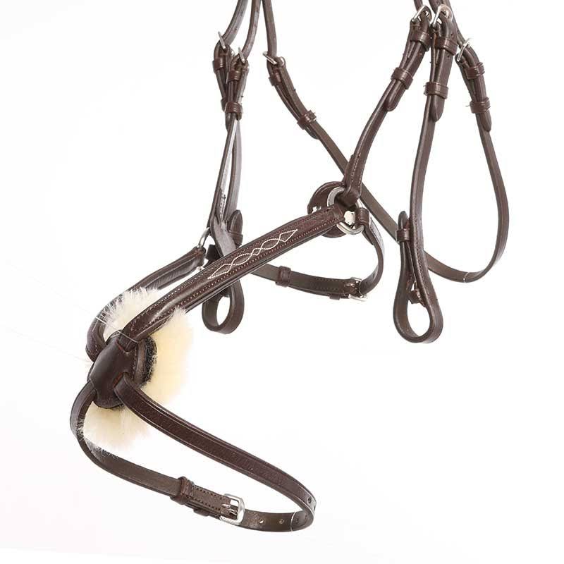 Bridle W175