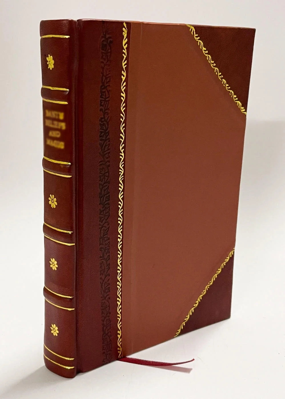 Leather Bound Book F53420
