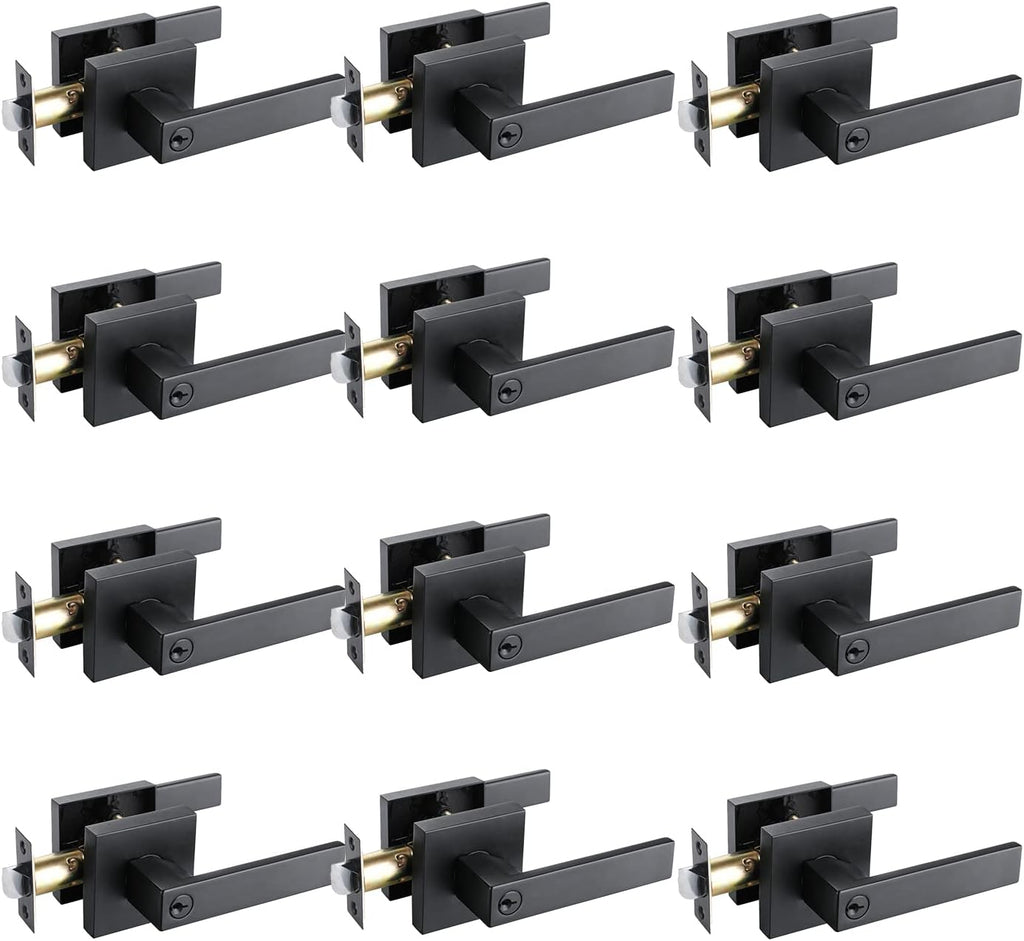 Matte Black Zinc Alloy Door Lever Lock C8040