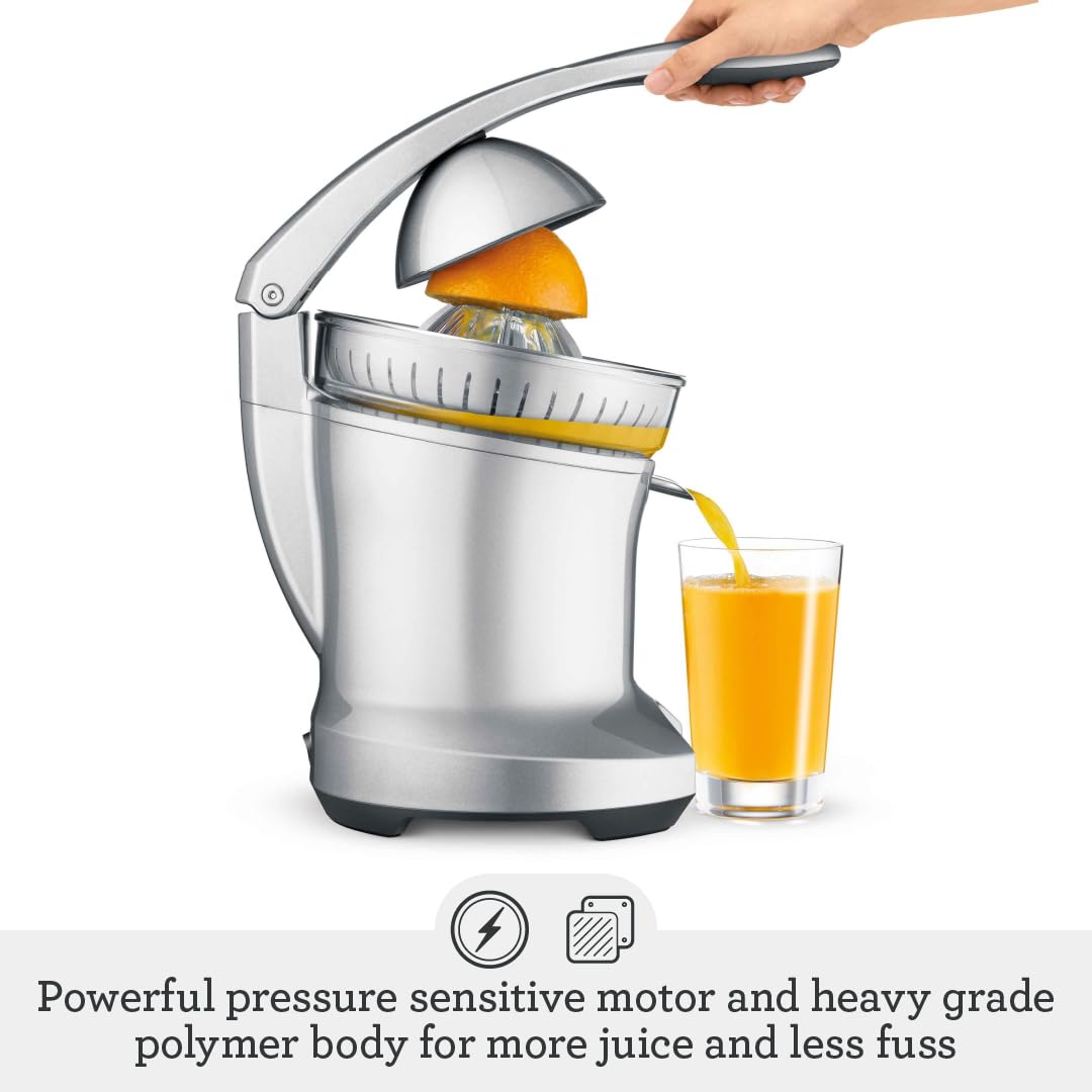 Silver Citrus Press B3484