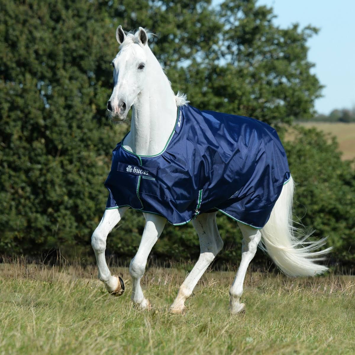 Blue Smartex Extra D56940