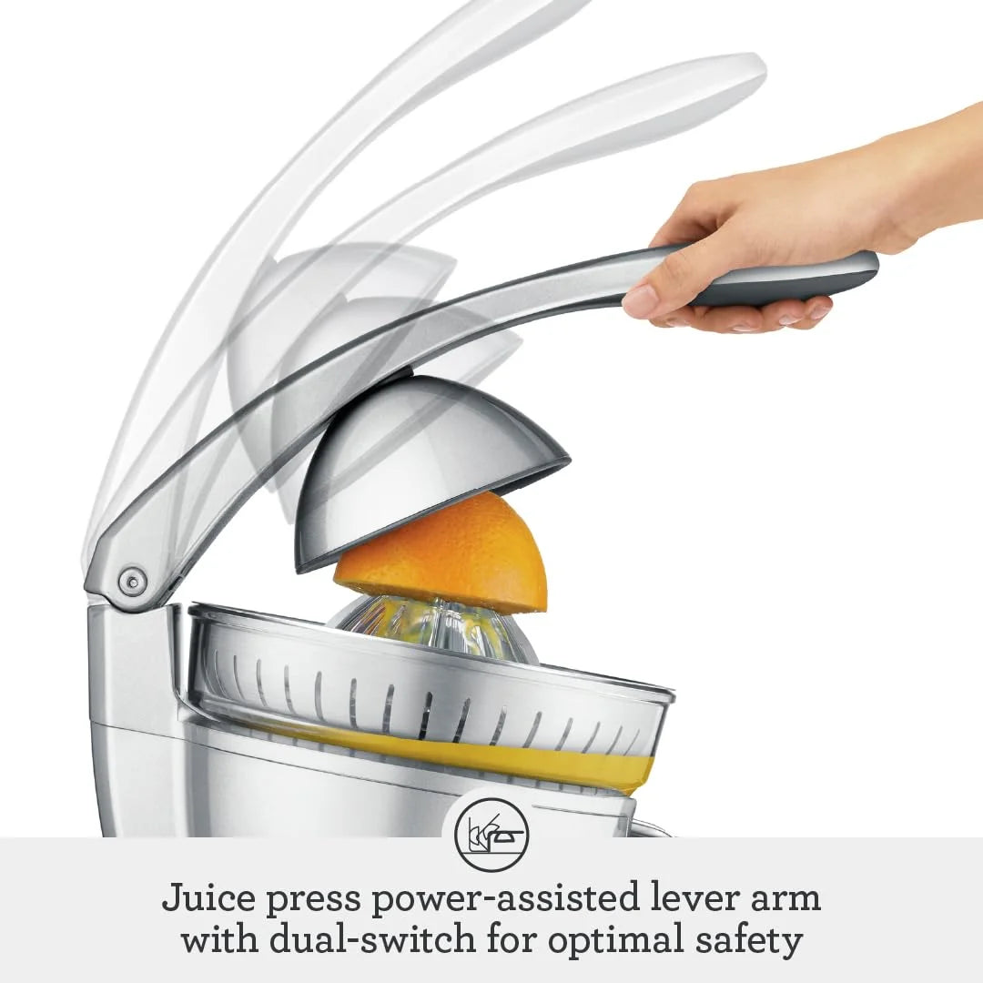Silver Citrus Press B3484
