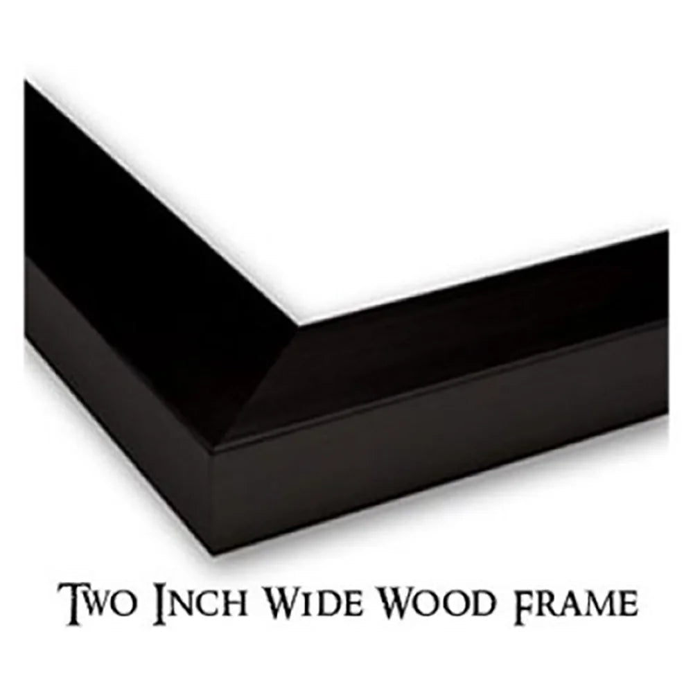 10x14 Black Framed Museum Art Print N305600