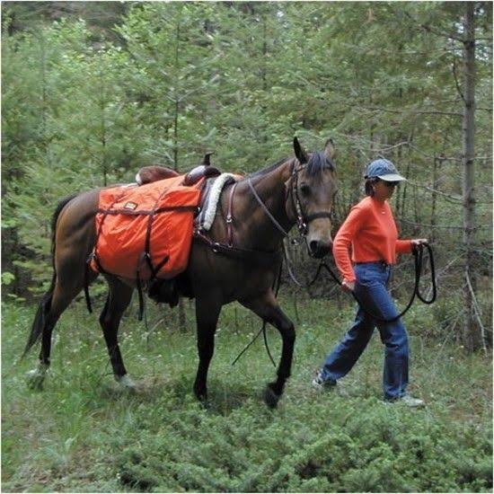 Brown Saddle Panniers H744305
