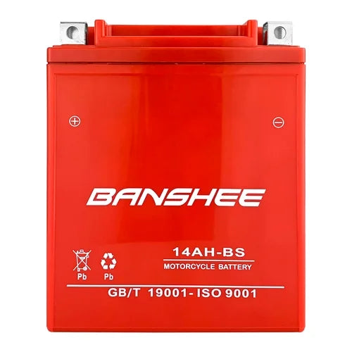AGM Maintenance Free Battery, 235 CCA W74565