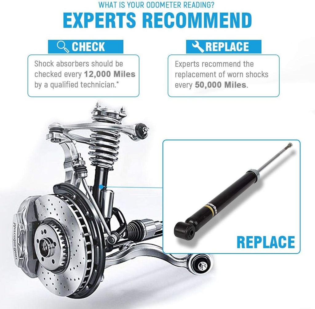 2pcs Rear Left Right Shocks Struts Absorber Pack of 2 P2619