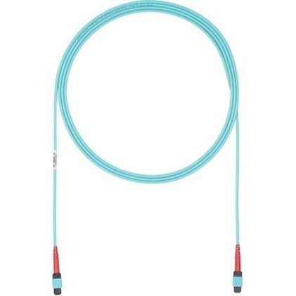 Fiber Optic Network Cable 73 ft A72277