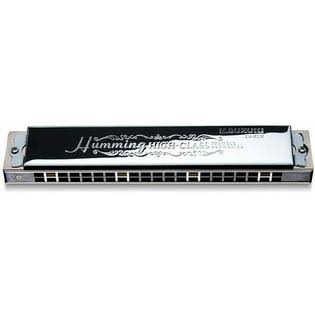 21 Hole Compound Sound Harmonica G697