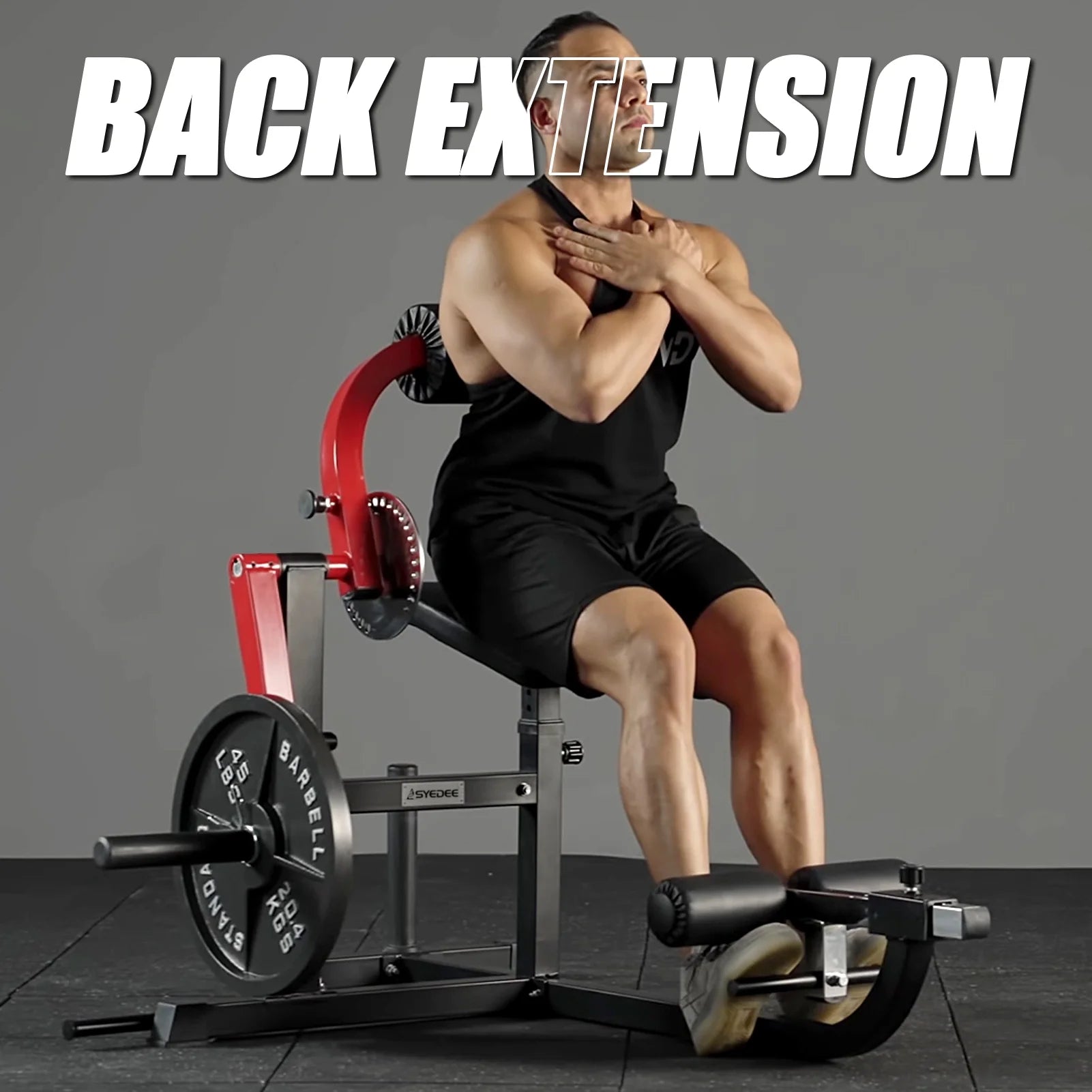 Plate Loaded Back Extension Machine with 450lbs Weight Capacity D605