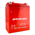 AGM Maintenance Free Battery, 235 CCA W74565