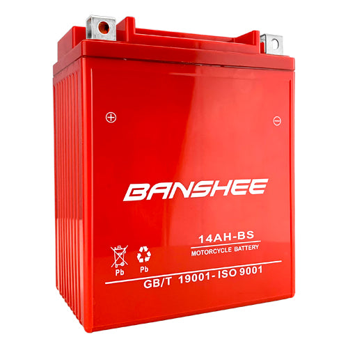 AGM Maintenance Free Battery, 235 CCA W74565