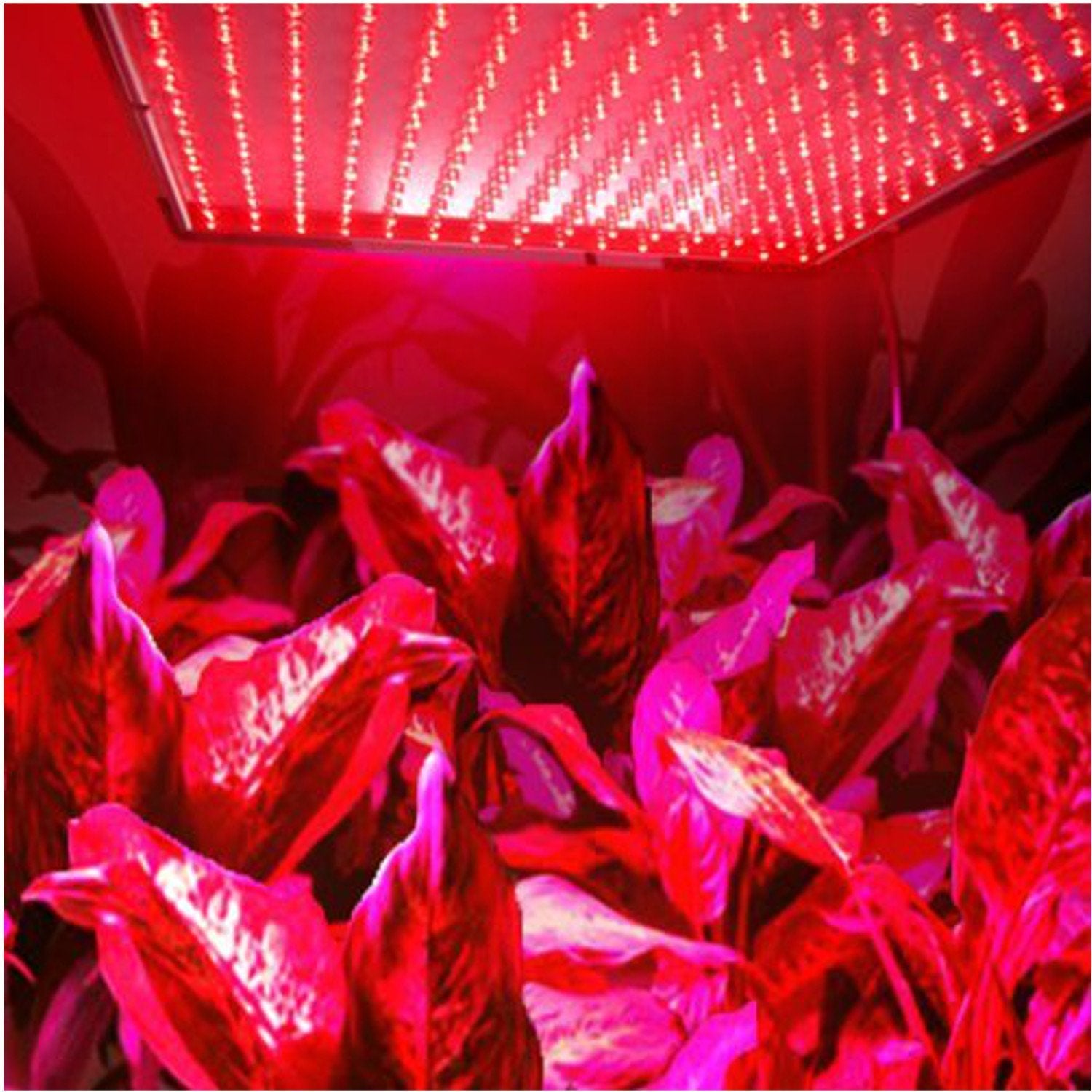 13.8W 225 LED Red Spectrum Hydroponic Plant Grow Light Panel X108612