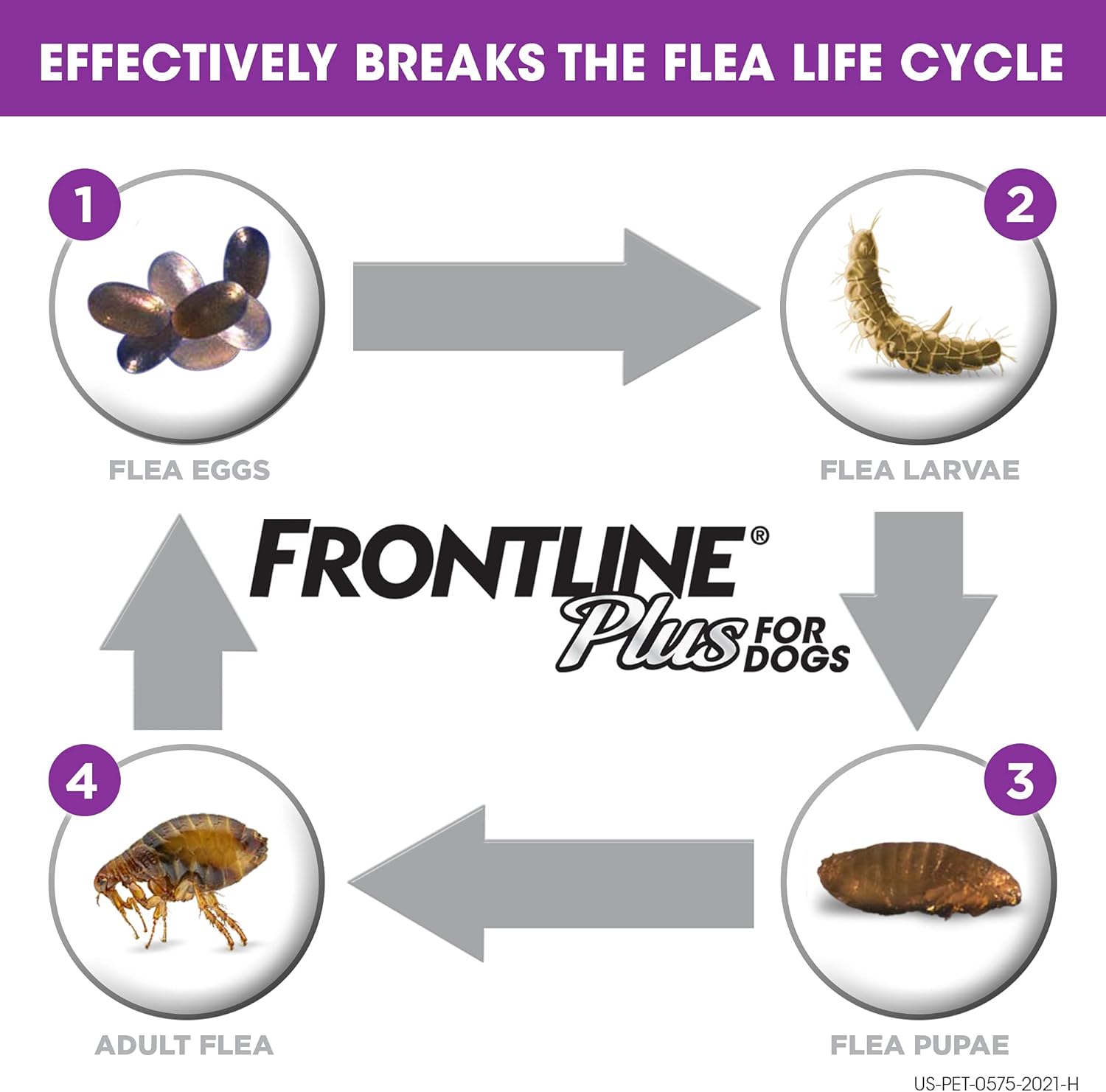 Flea and Tick Treatment for Dogs, 8 Doses M115