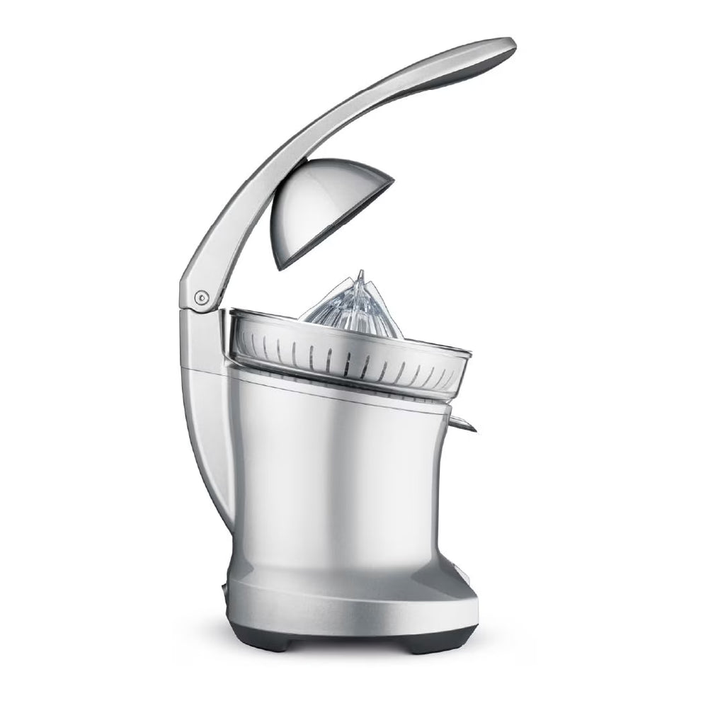 Silver Citrus Press B3484