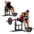 Plate Loaded Back Extension Machine with 450lbs Weight Capacity D605