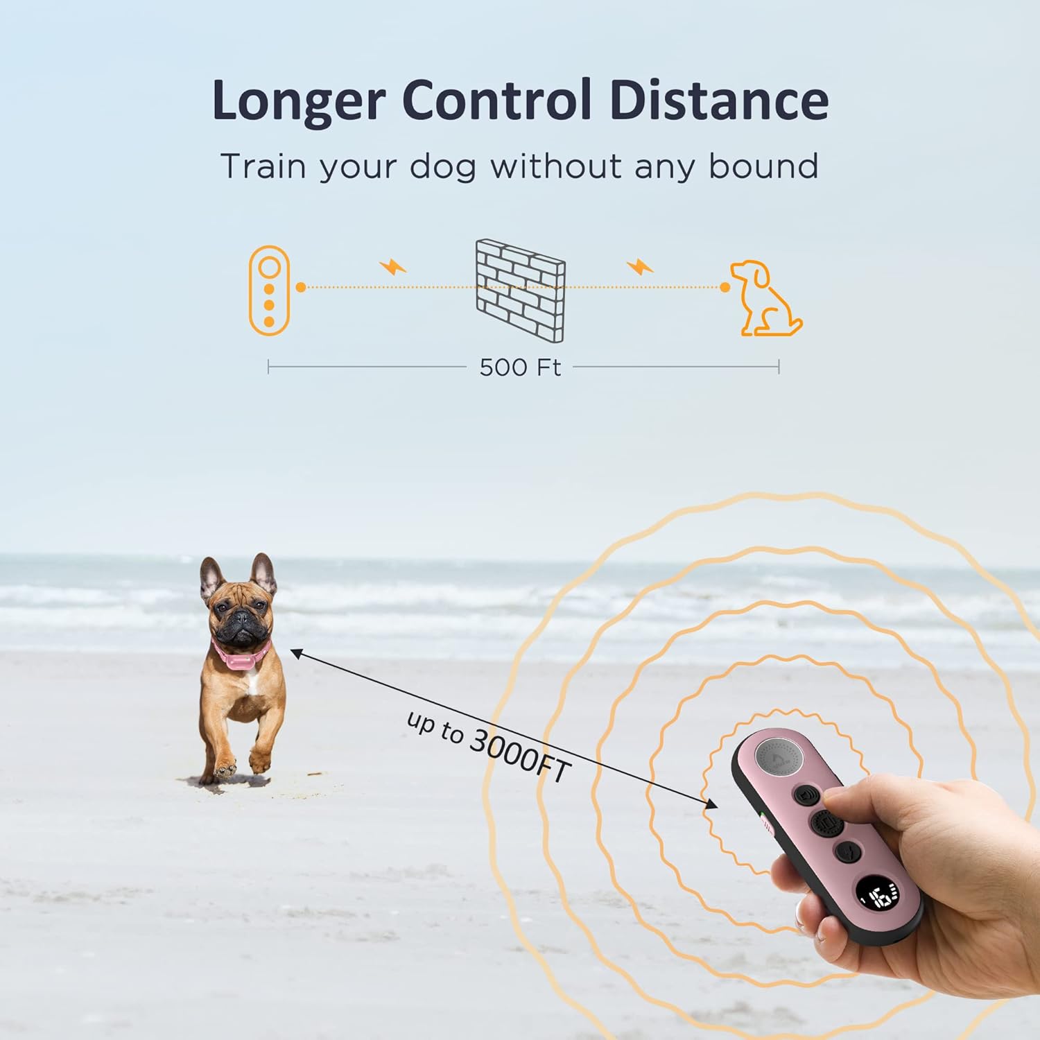 Rechargeable Waterproof Dog Training Collar with Remote, Pack of 2 F11763