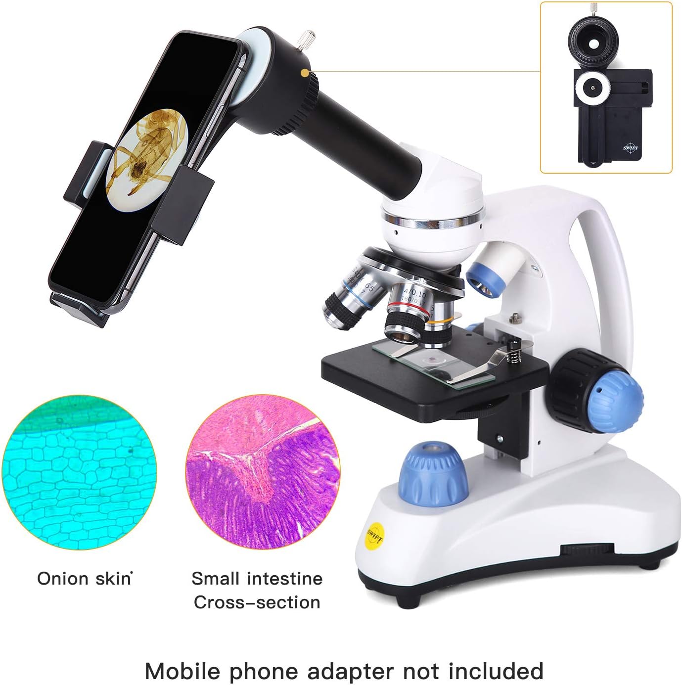 Compound Student Microscope, 40X-1000X, Monocular Head O249