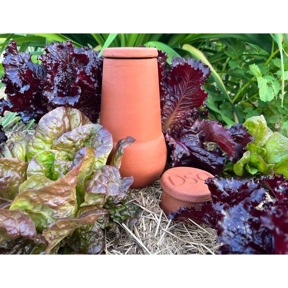 Terra Cotta Watering Pot, Medium, 1.5 Qt O15111