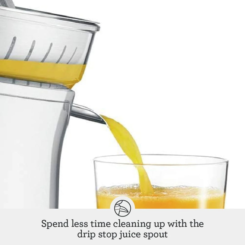 Silver Citrus Press B3484
