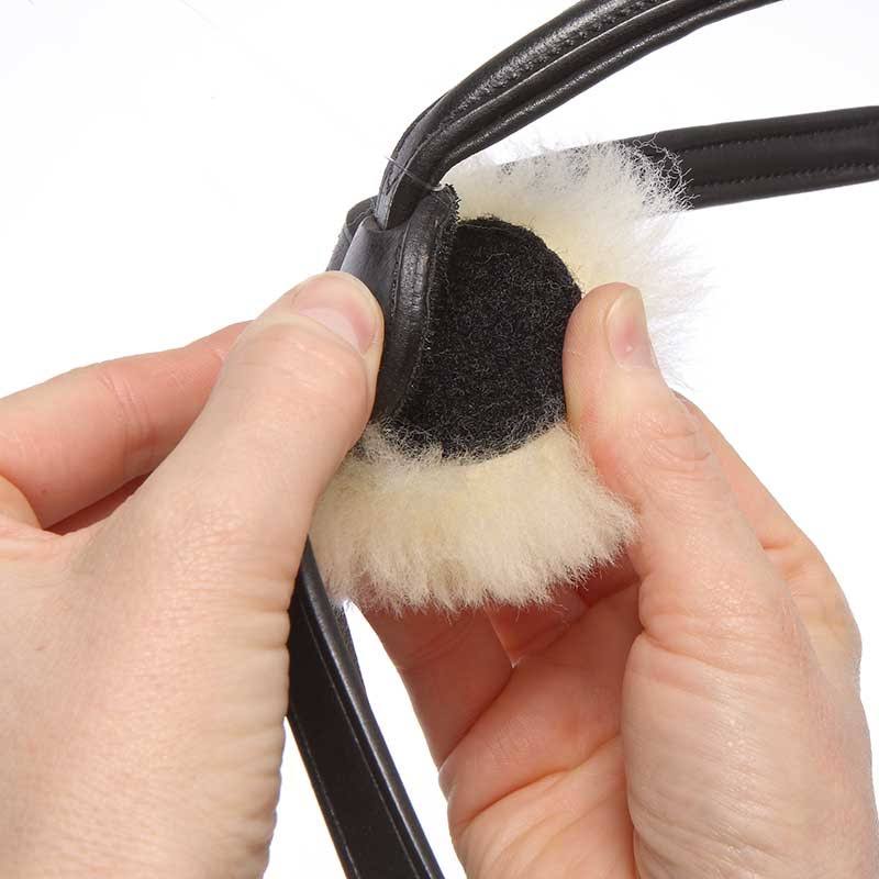 Bridle W175