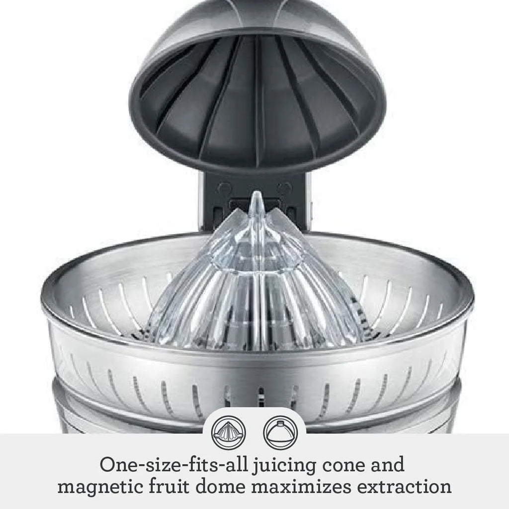 Silver Citrus Press B3484