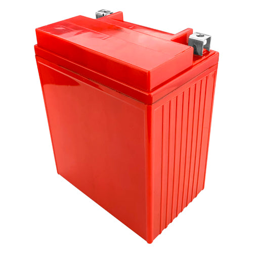 AGM Maintenance Free Battery, 235 CCA W74565