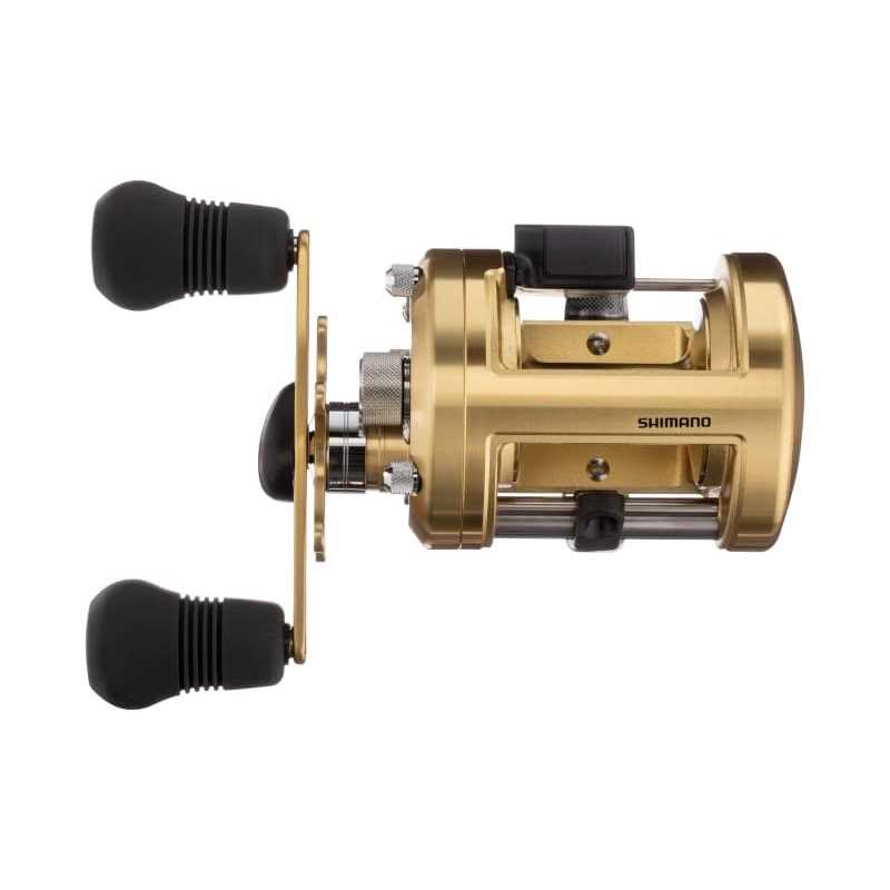 Baitcasting Reel P856041