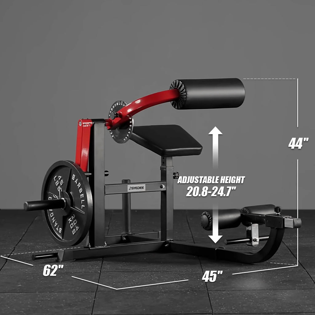 Plate Loaded Back Extension Machine with 450lbs Weight Capacity D605