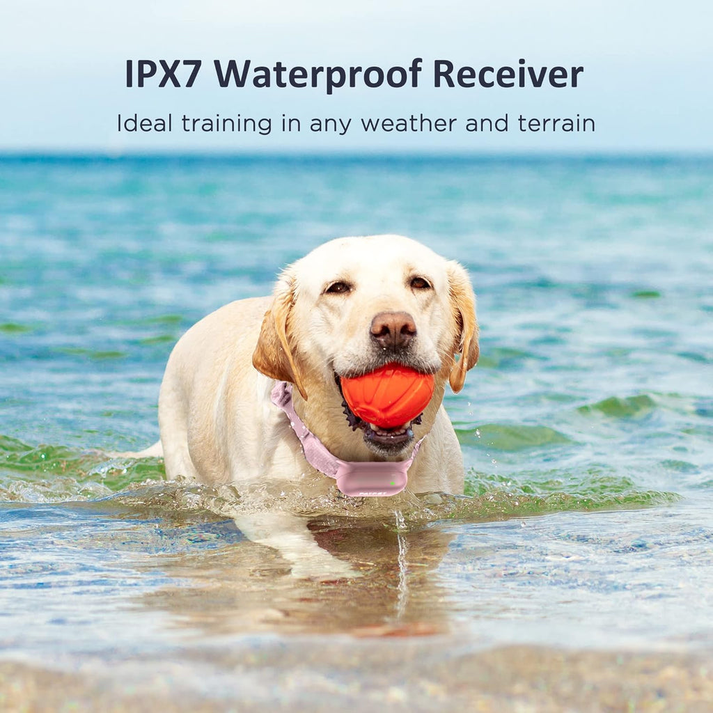 Rechargeable Waterproof Dog Training Collar with Remote, Pack of 2 F11763