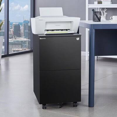 2- Drawer Vertical Filing Cabinet C98730