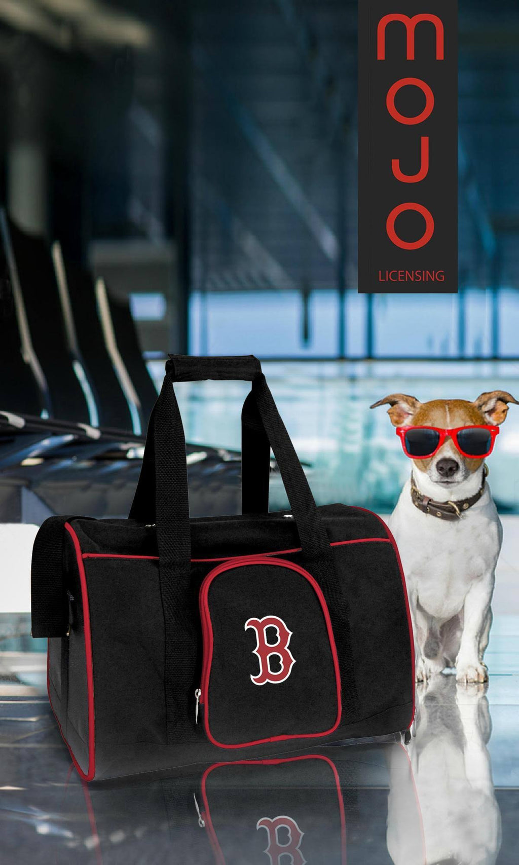 Premium Pet Carrier T43742