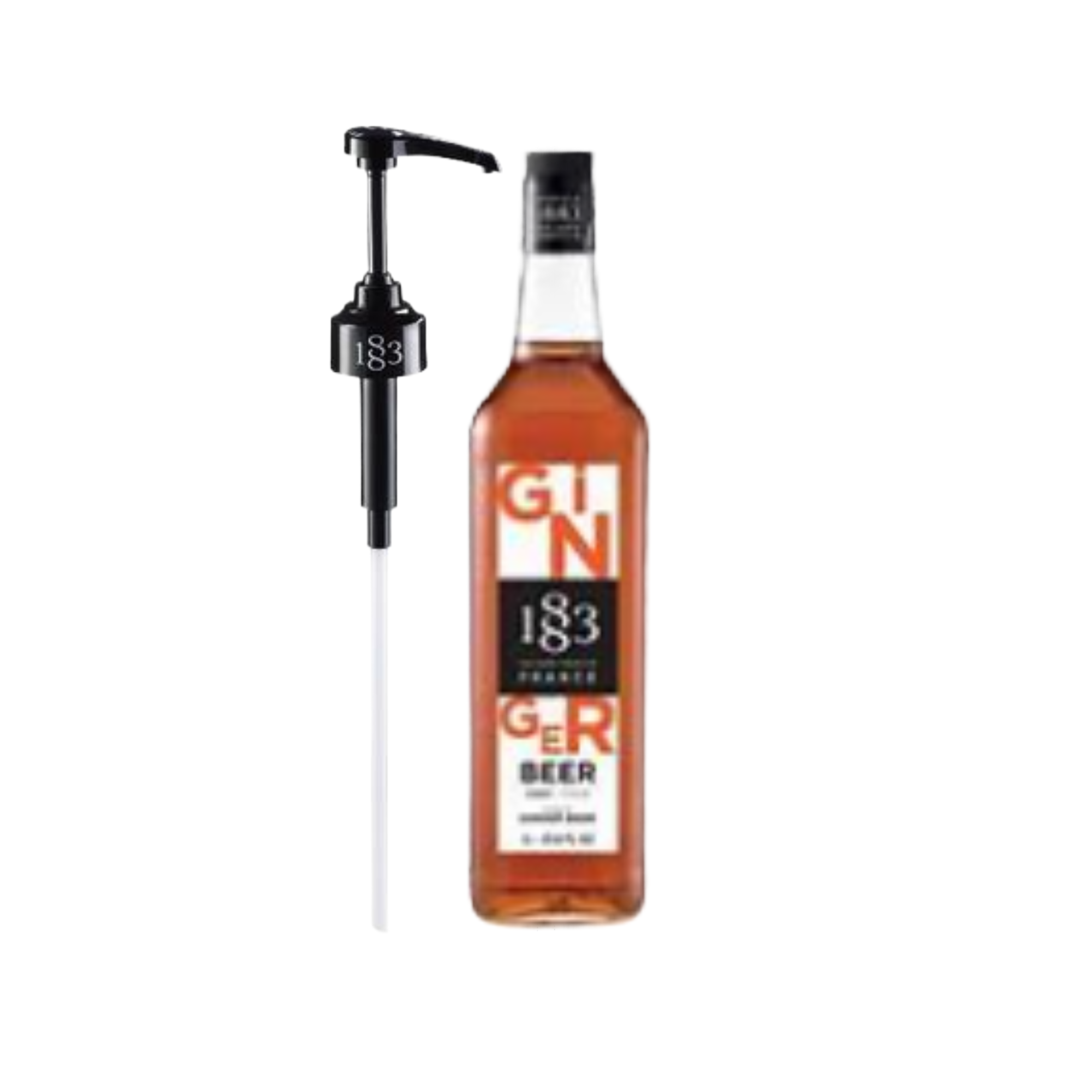 1L Ginger Beer with Pump J1578