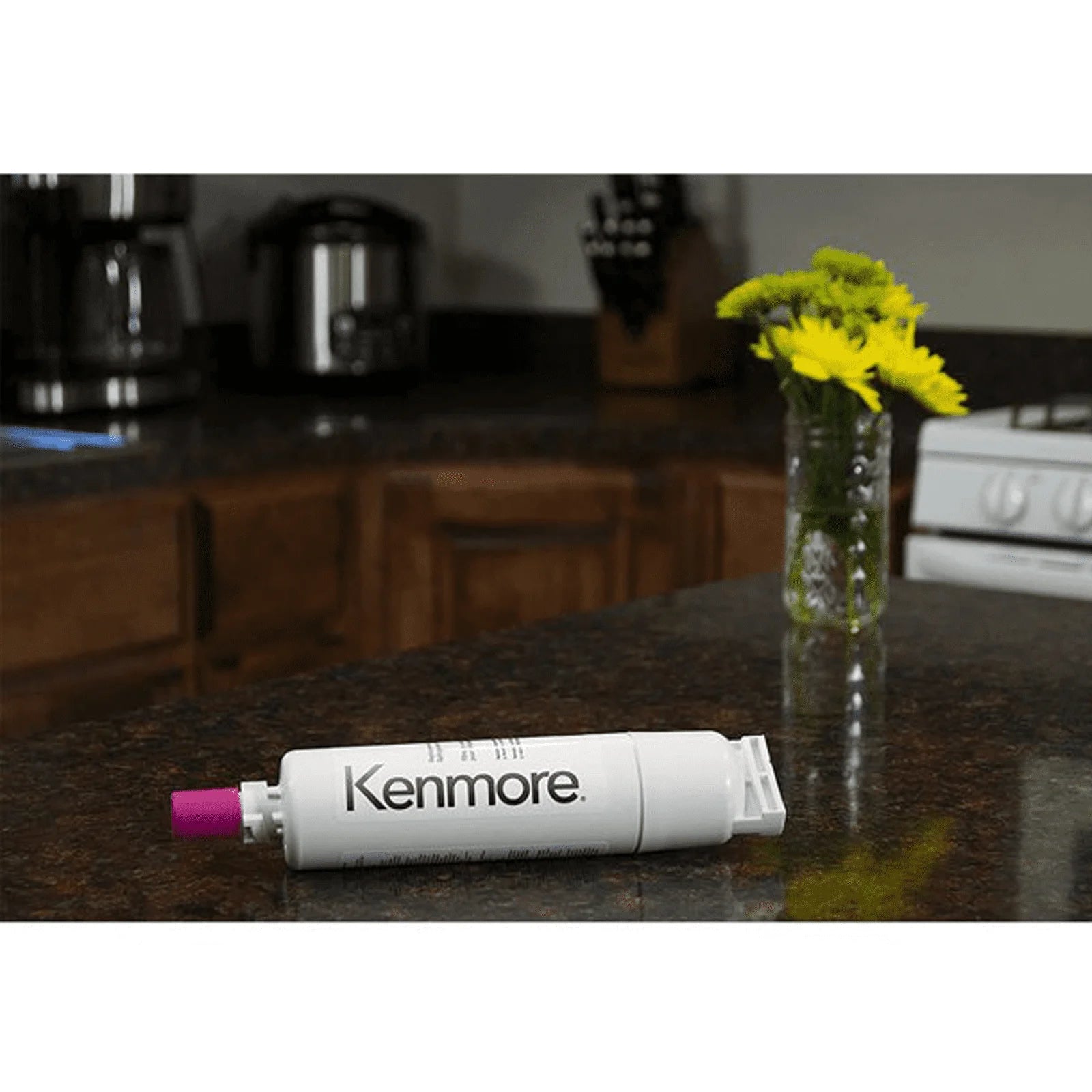 Refrigerator Water Filter Replacement Compatible with Kenmore 46-90410, 469010, 6-9085, 9085, AQUACREST AQF-4396508 K7677