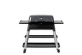 Graphite 3-Burner Propane Gas Grill with Stand Y20451