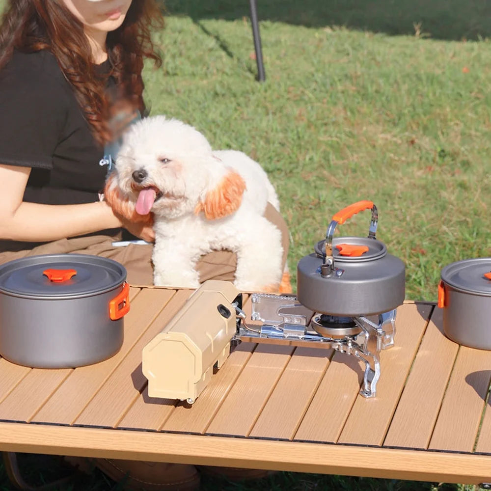 Portable Folding Butane Camping Stove 2600W with Electronic Ignition Carrying Bag F8930