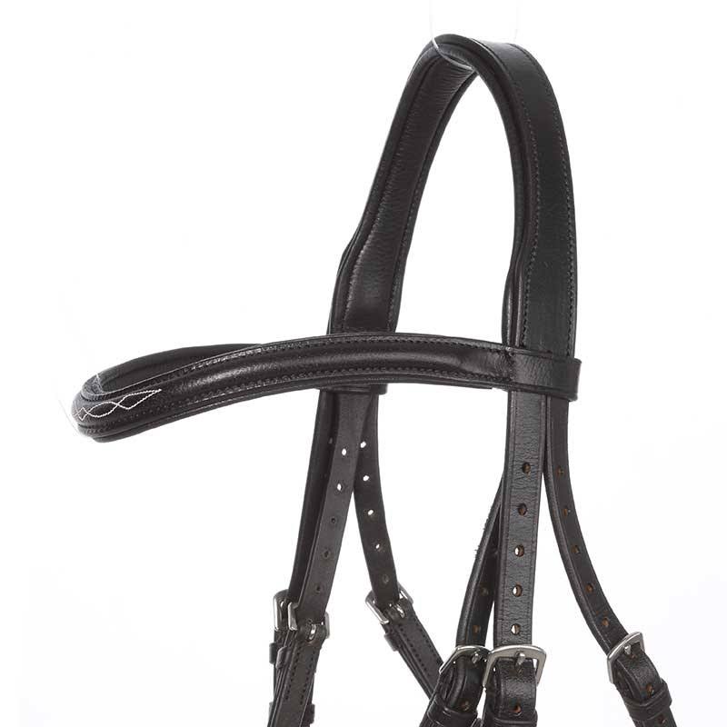 Bridle W175