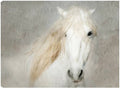 32x24 Canvas Art I624