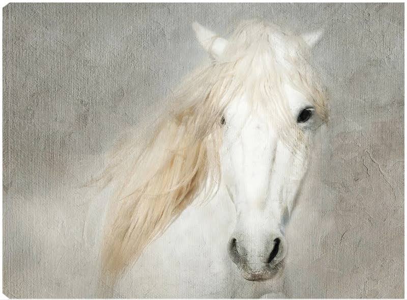 32x24 Canvas Art I624