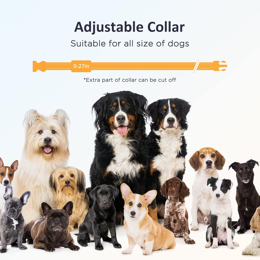 Rechargeable Waterproof Dog Training Collar with Remote, Pack of 2 F11763