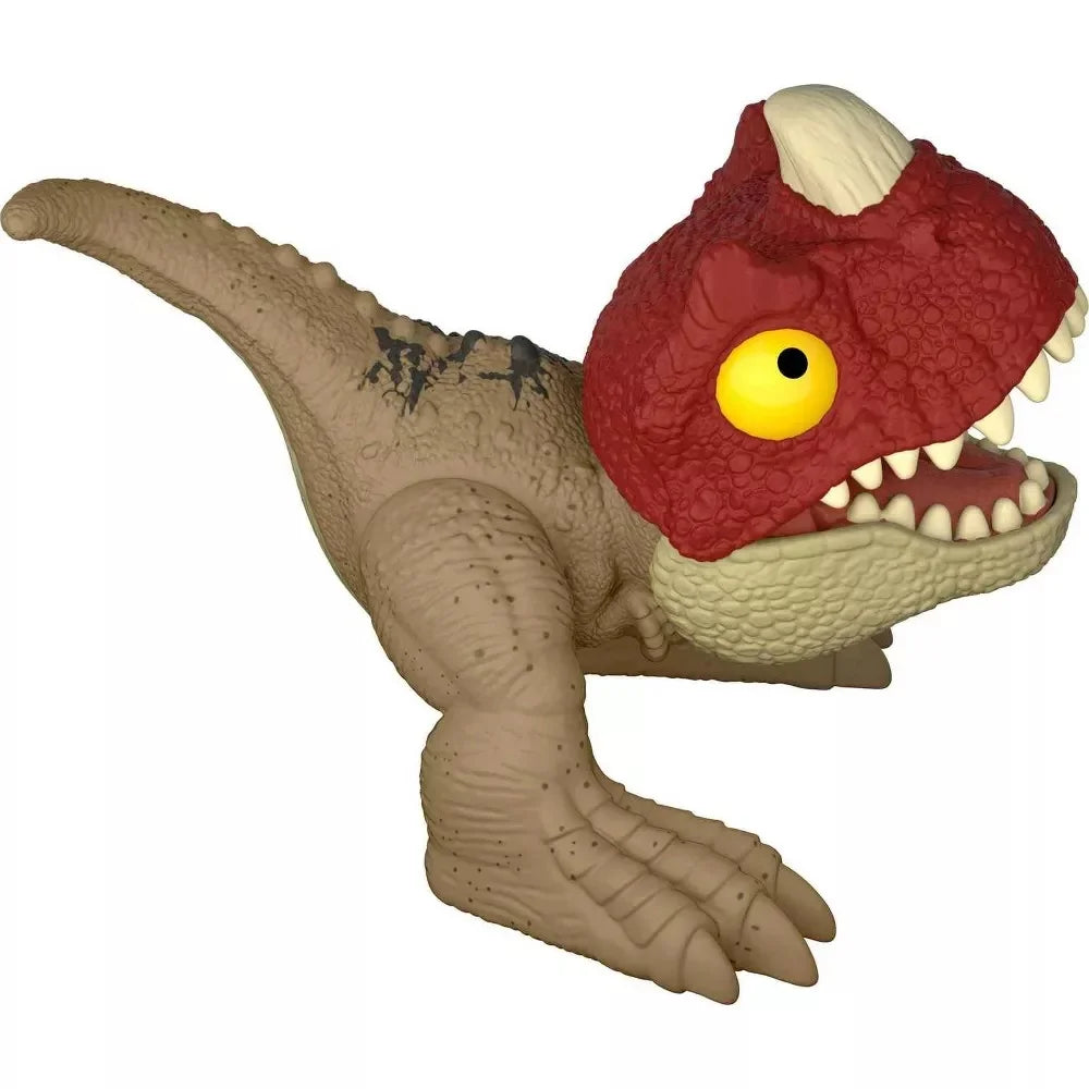 Wild Pop Ups Collectible Toy O370