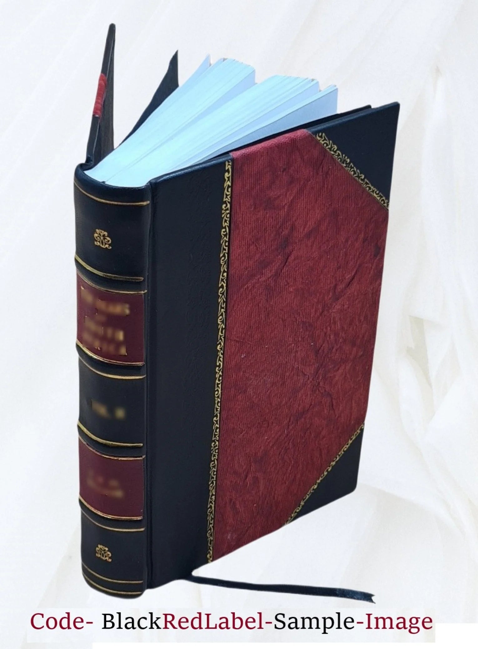City charter, chapter 283, acts of 1897, ordinances of 1898, standing regulations, statutes relating to the city. Volume 1917 1898 J830