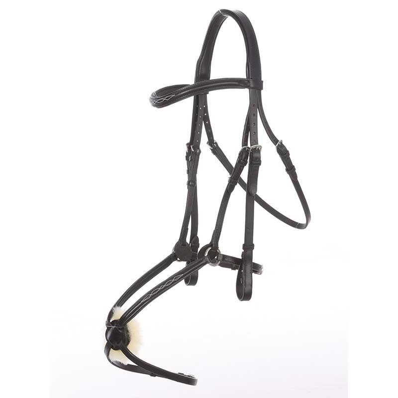 Bridle W175